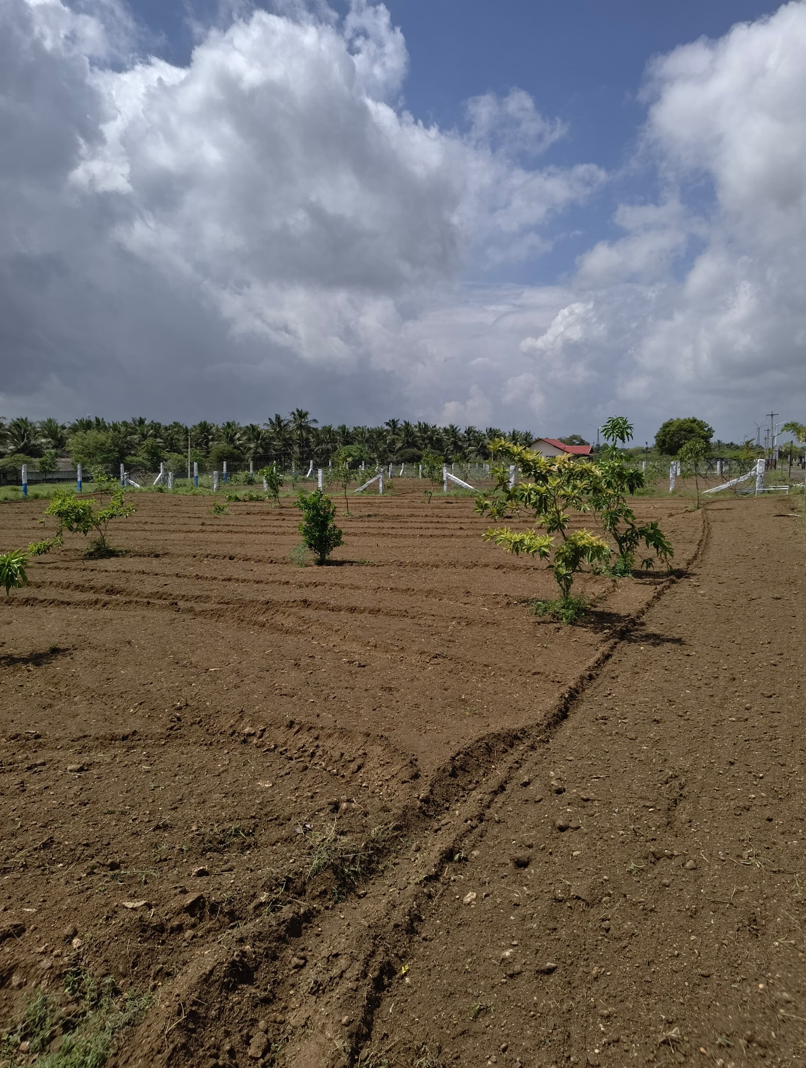 Sangamam Farms Image 1
